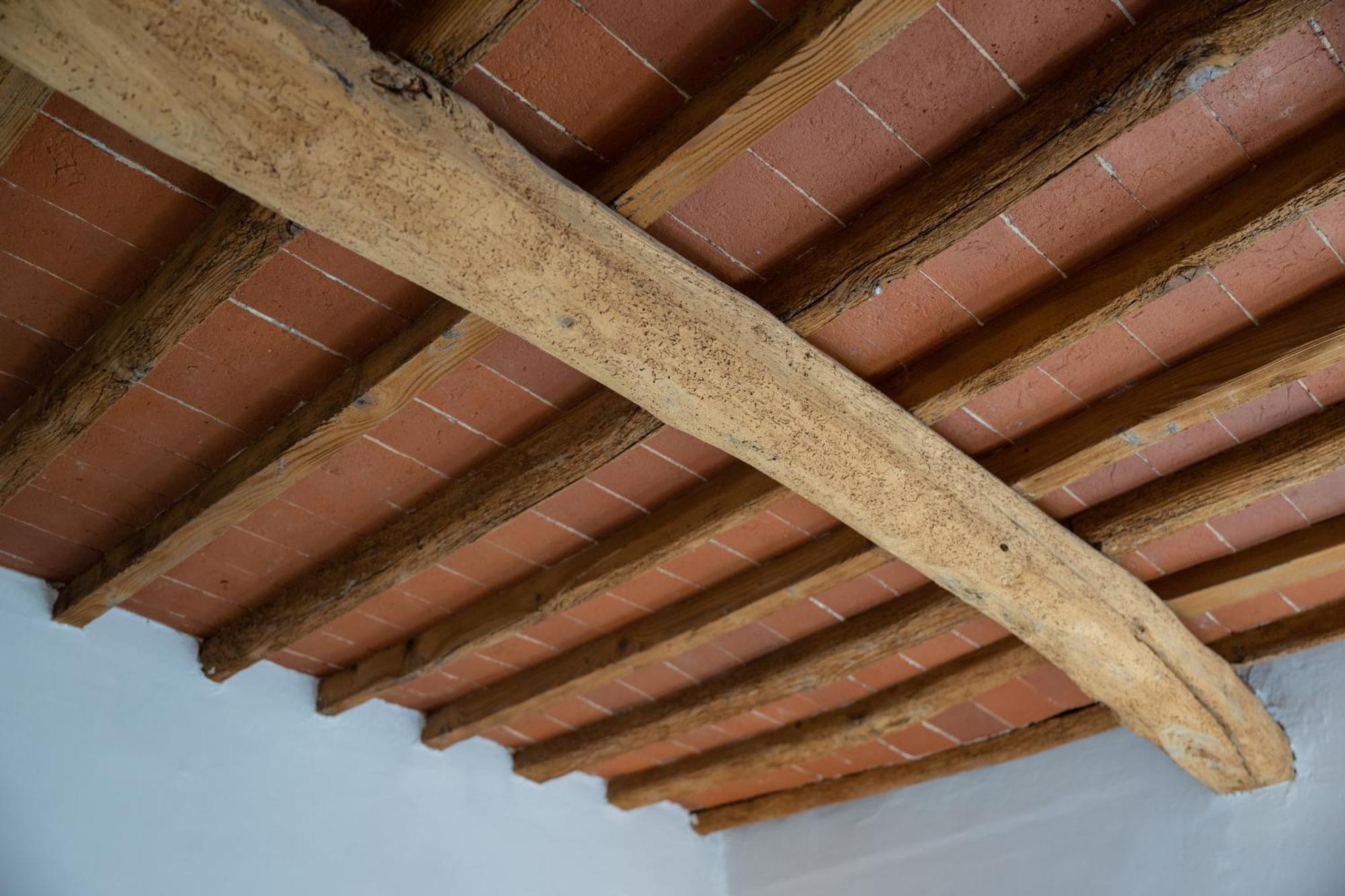 Apartamento Tipica Cozy House + Parking! Florencia Exterior foto